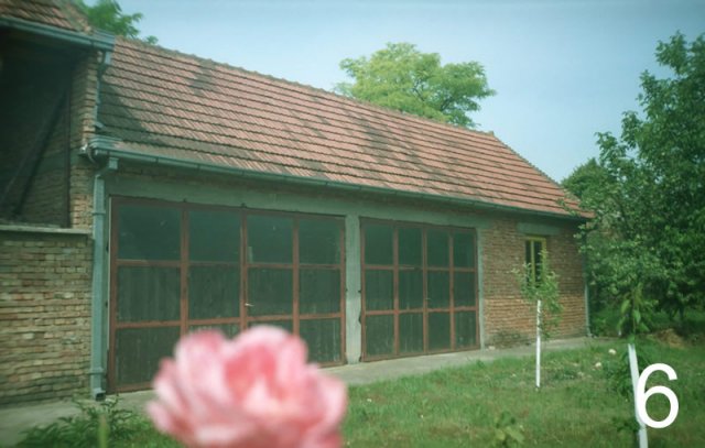 7195-6.jpg, 88 KB