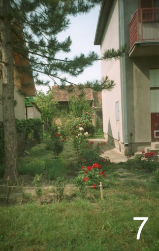 7196-7.jpg, 101 KB